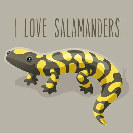 Сообщений на форуме 0_salamandra_0