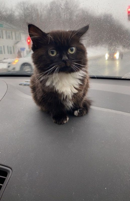 Сообщений на форуме ALMAZZZ1K