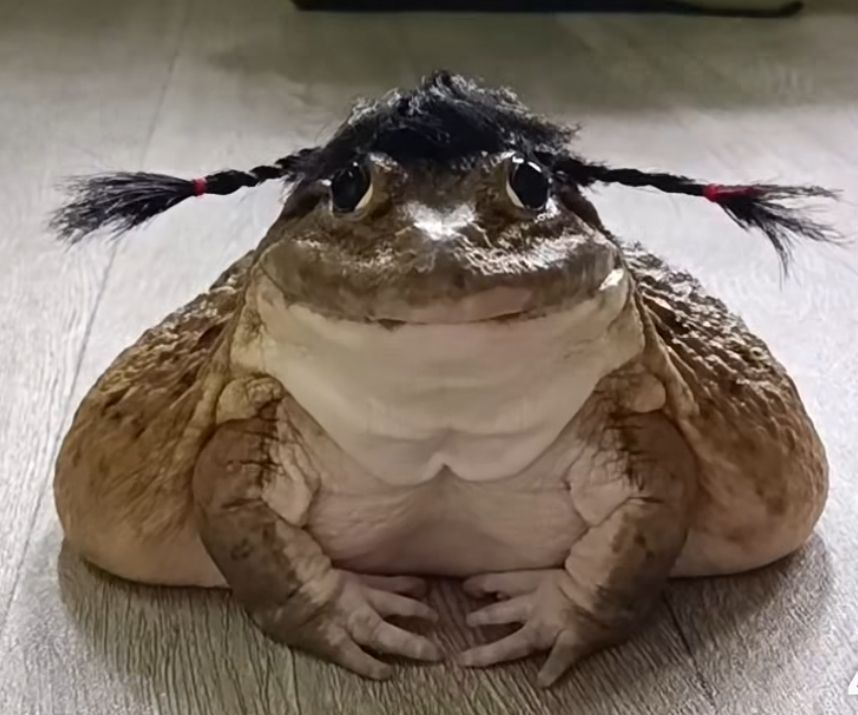 Сообщений на форуме AdelRow