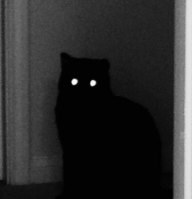 Повідомлень на форумі Corvus69