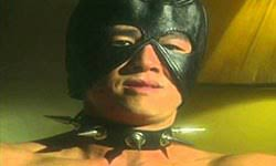 Повідомлень на форумі Gegrun