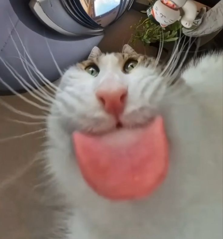 Сообщений на форуме Geosharm