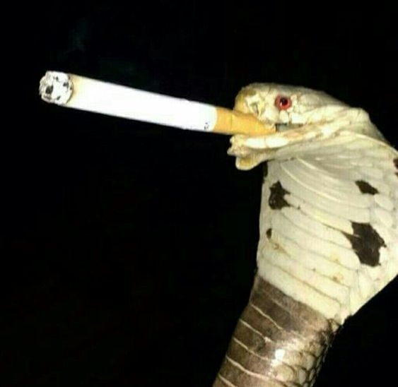 Сообщений на форуме HELLAKEEP