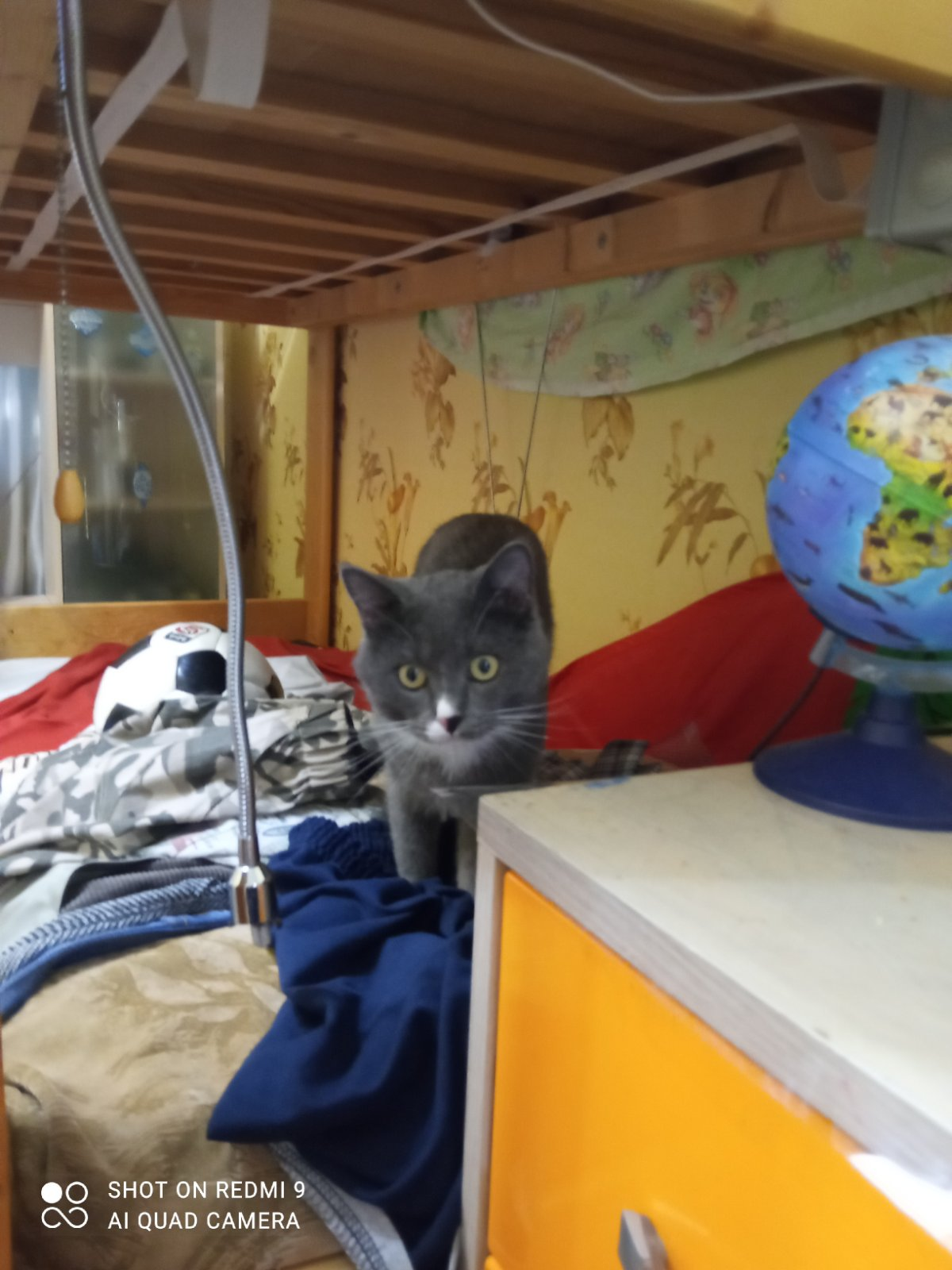 Сообщений на форуме Jerry1L