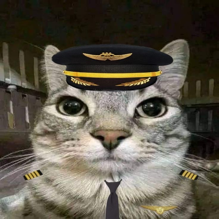 Сообщений на форуме JuiceFruit