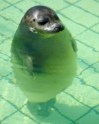 Сообщений на форуме KLAVAK87R