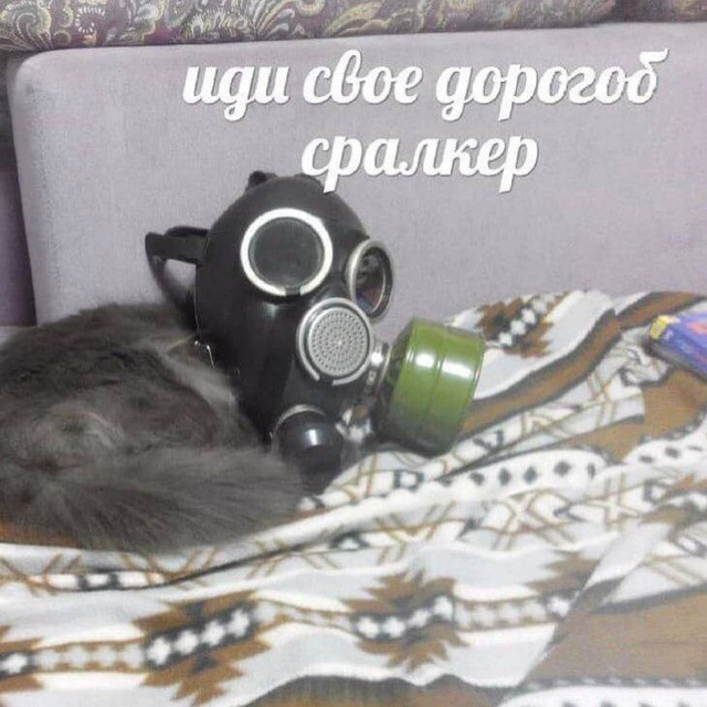 Повідомлень на форумі Kotzilla_