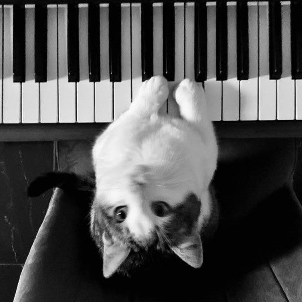 Сообщений на форуме Liras