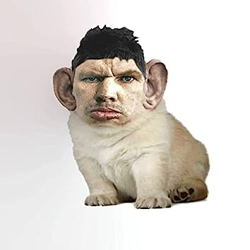 Сообщений на форуме MA88088AM