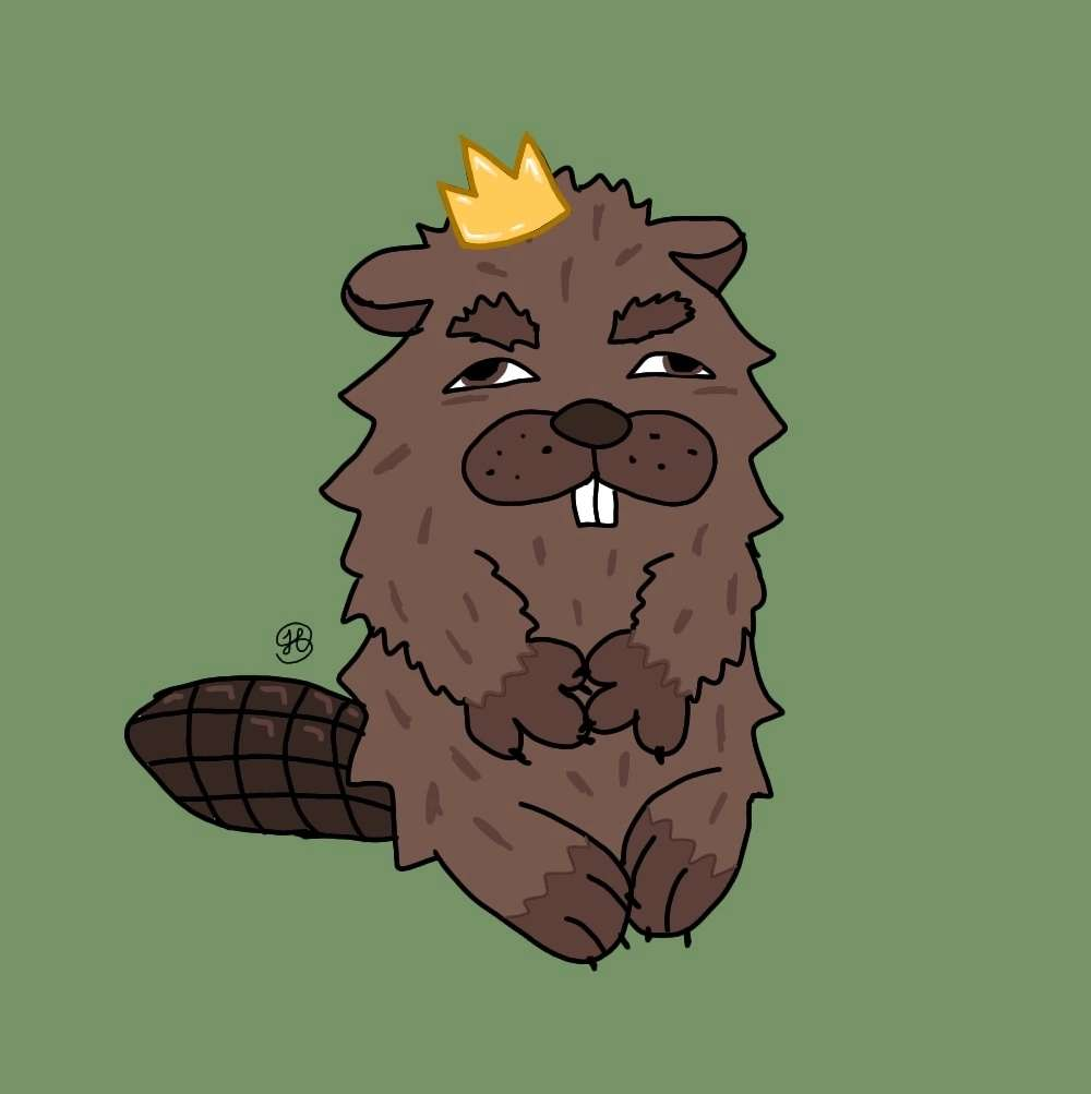Сообщений на форуме MONTuSHKA