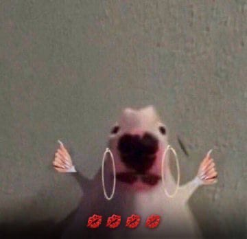 Сообщений на форуме MeirinLe