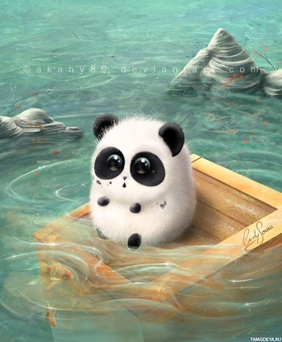 Сообщений на форуме Mesura