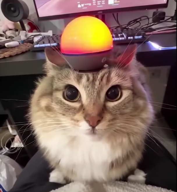 Сообщений на форуме MikyWay_Way