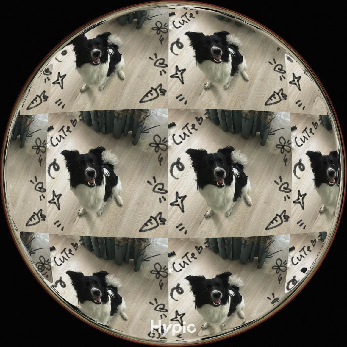 Сообщений на форуме MissisGarrison