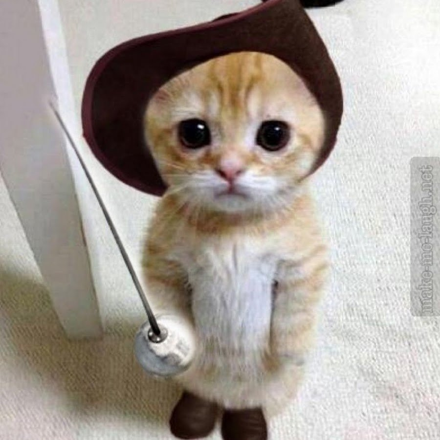 Повідомлень на форумі MoM4s