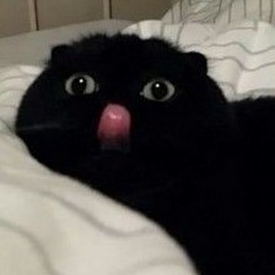 Повідомлень на форумі Moommiy