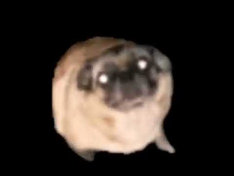 Повідомлень на форумі Mr_Teddy_Bear