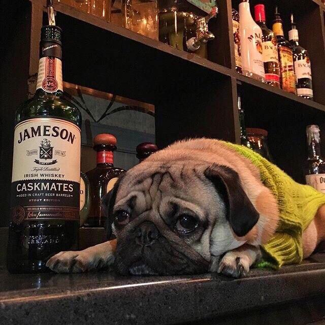 Повідомлень на форумі Mrkilometr