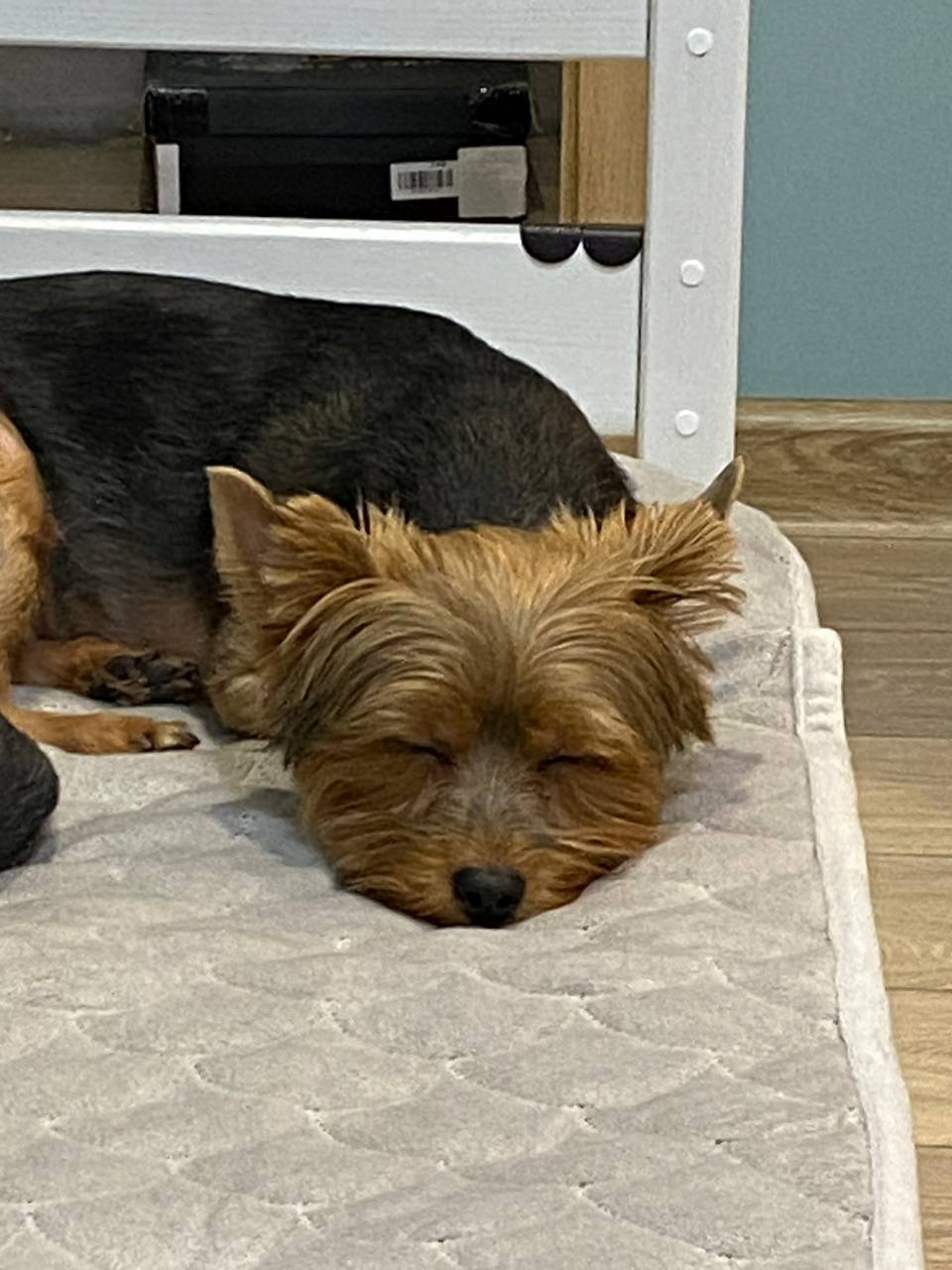 Сообщений на форуме Myved185