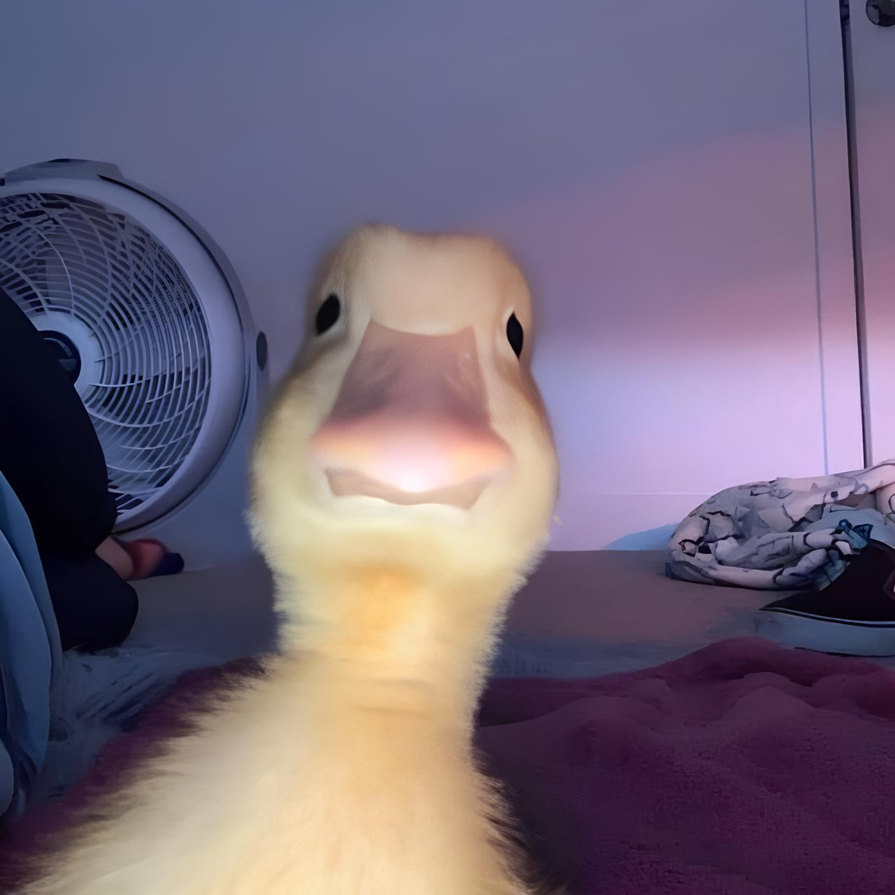 Повідомлень на форумі NikiSan72