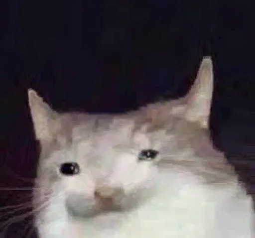 Сообщений на форуме Penkva