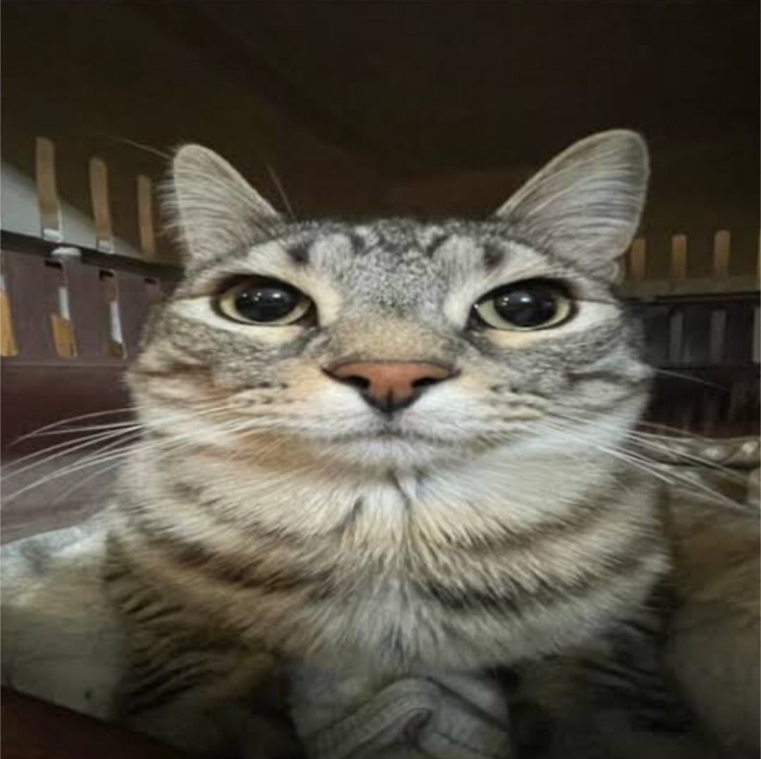 Сообщений на форуме Qwinses