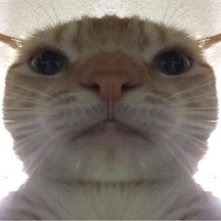 Сообщений на форуме _MrHacker_YT