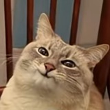 Сообщений на форуме collecterme