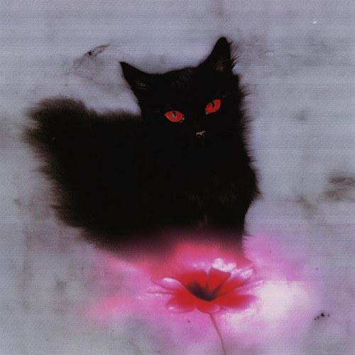 Сообщений на форуме dildid