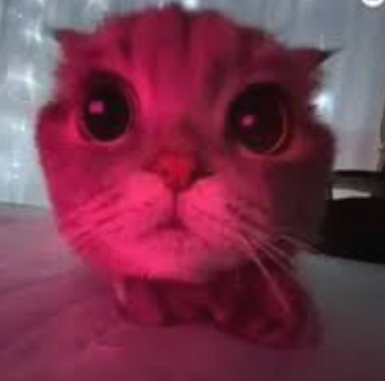 Сообщений на форуме goffet_653