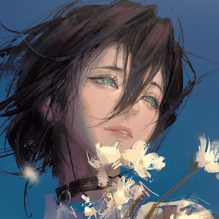 Messages on the forum meowquaza