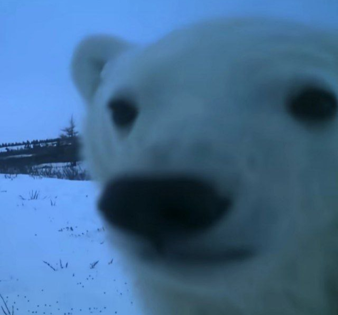 Wiadomości na forum miuha_top