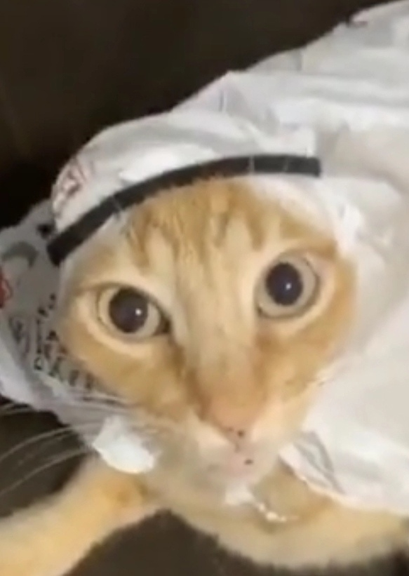 Сообщений на форуме popermener