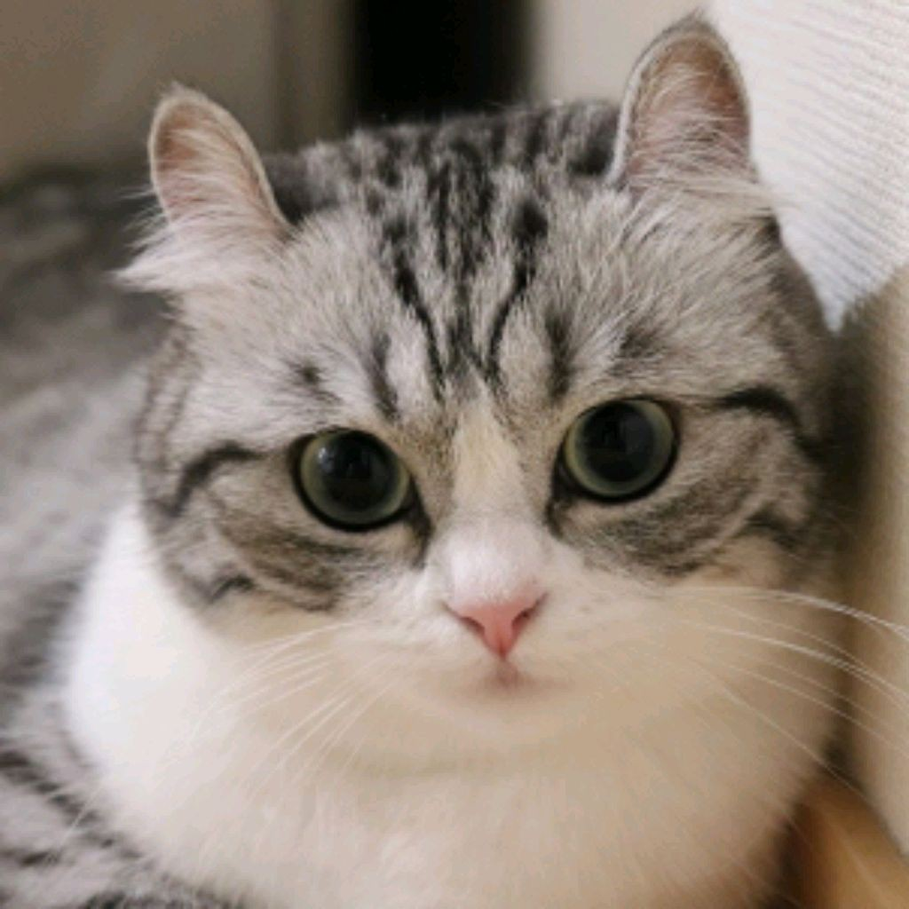 Сообщений на форуме saSHapak