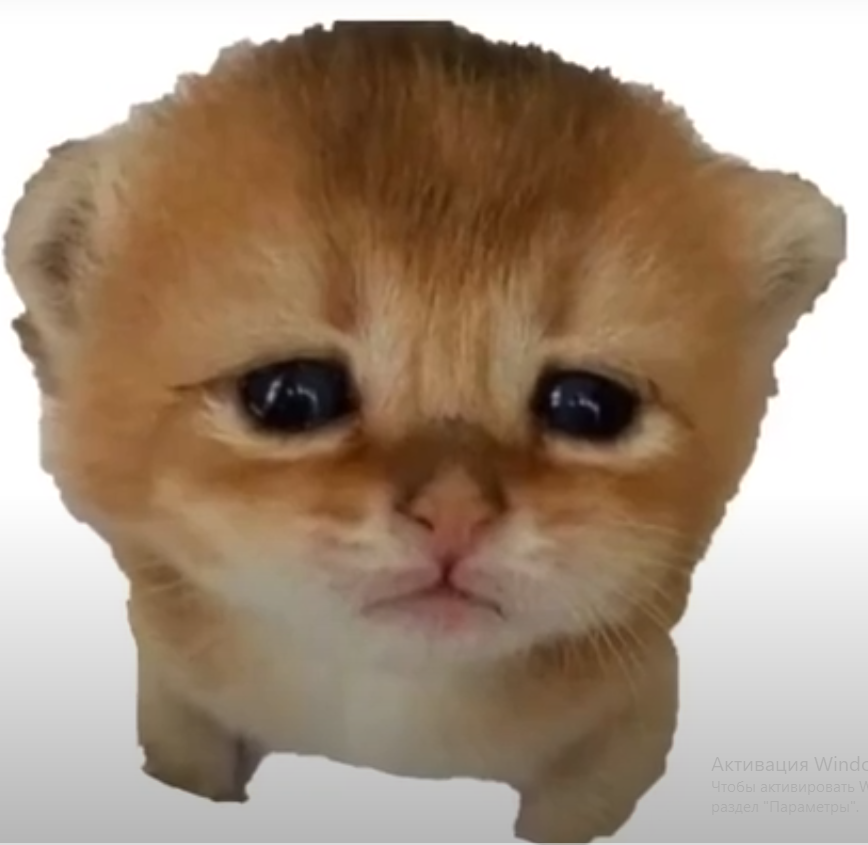 Повідомлень на форумі simba_UWU