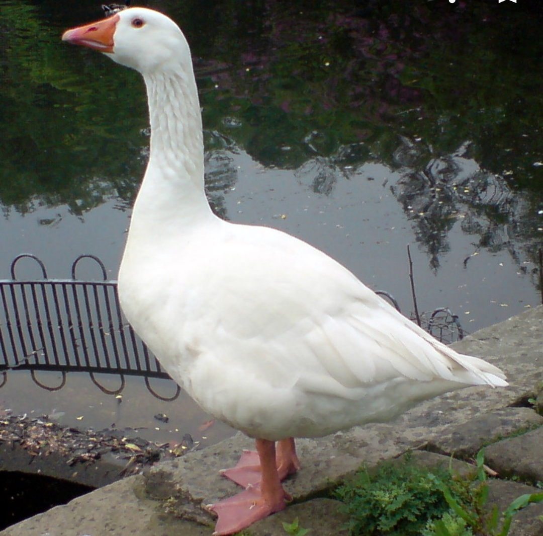 Сообщений на форуме supergleb20061