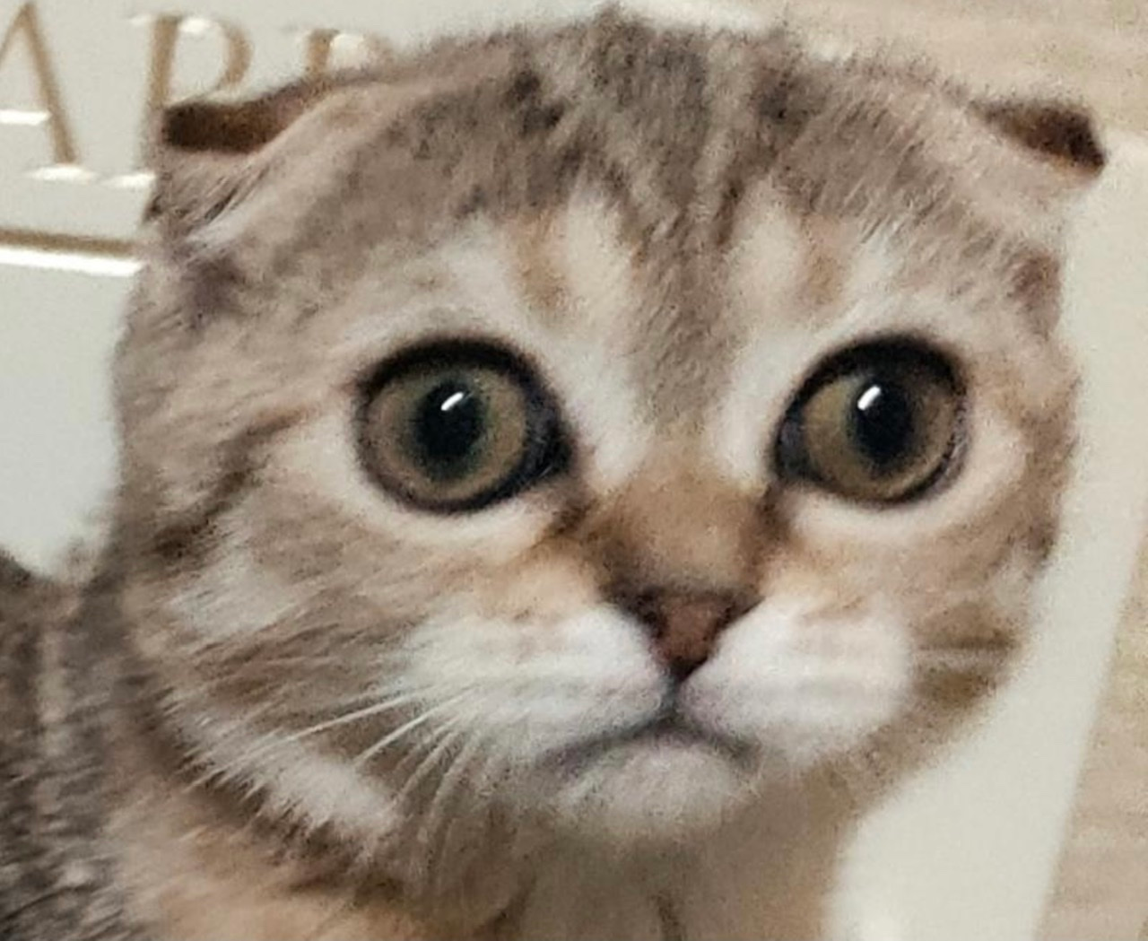 Сообщений на форуме zanoza20071