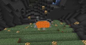 Прикрепленное изображение