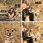 Прикріплене зображення